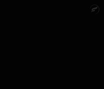 Stealth Logo