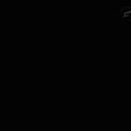  Stealth Logo